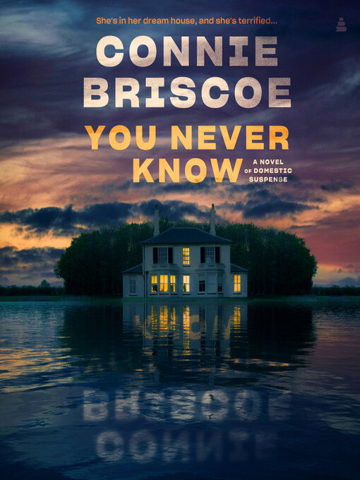 Title details for You Never Know by Connie Briscoe - Available